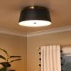 Semi Flushmount Kids' Ceiling Light Black/Gold - Pillowfort™ -Pillowfort Sales Shop GUEST 388d5652 f95f 49a4 9e71 7b8f0016b0dc