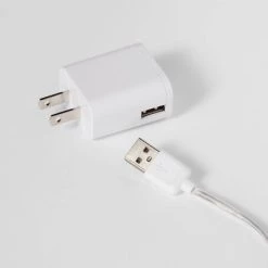 Neon Dinosaur GreenKids' Wall Decor - Pillowfort™ -Pillowfort Sales Shop GUEST 53b299b7 a994 45d4 b9ea 450f949e7c51